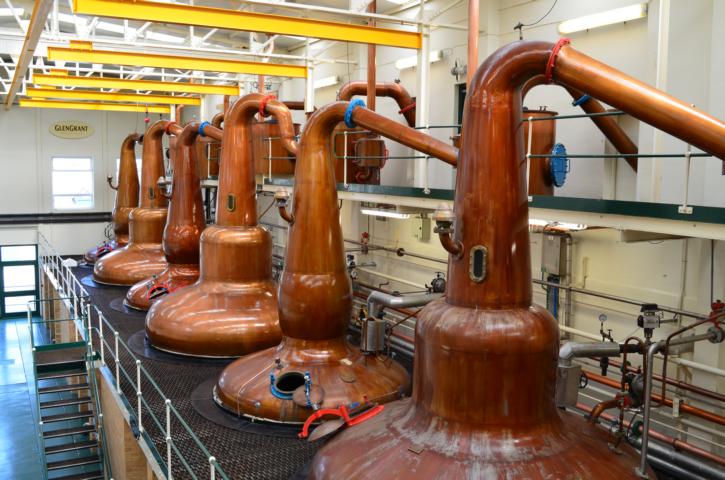 Gärten in Schottland Gartenreise